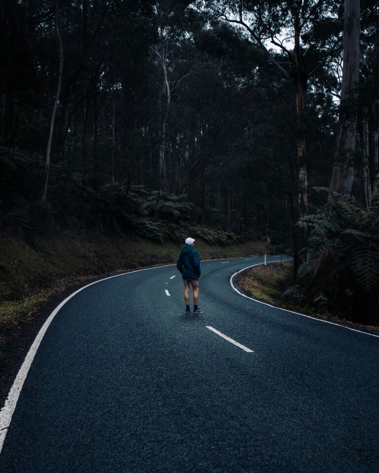 runner road forest early morning