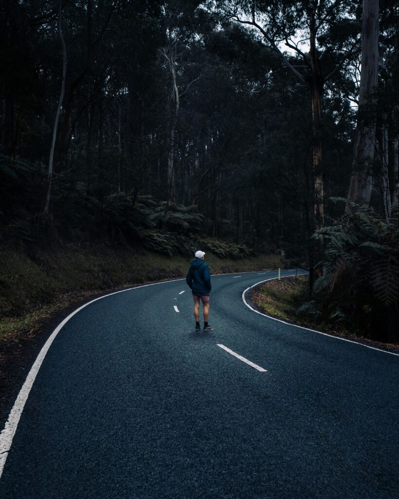 Current image: runner road forest early morning